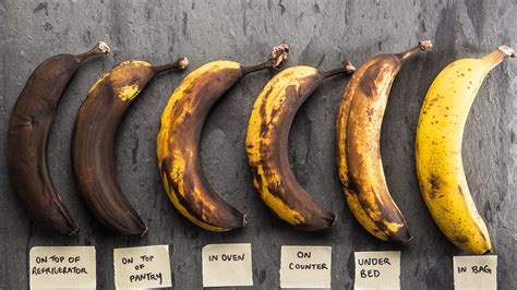 How to Ship a Record: And Why Bananas Might Be the Perfect Packaging Material