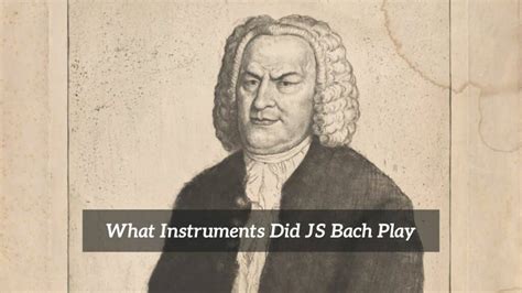 What Instruments Did Bach Play: A Symphony of Strings and Keys